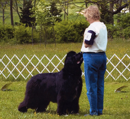 Ch. Pouch Cove's If the Shoe Fits