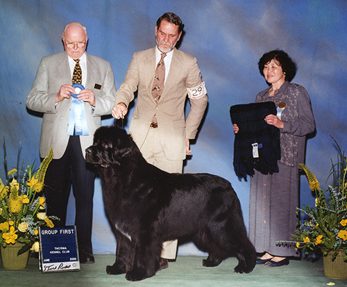 Pouch Cove's Supreme Justice